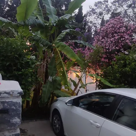 Villamuz * 얄리카베크